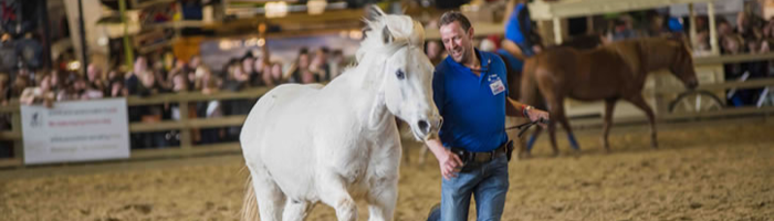 De Paardenboerderij - Flanders Horse Expo