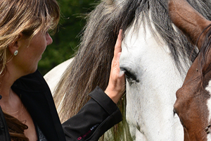 De Paardenboerderij - Straffe Madammen