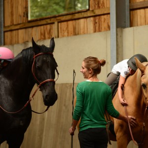De Paardenboerderij - Kinderkamp krokusvakantie
