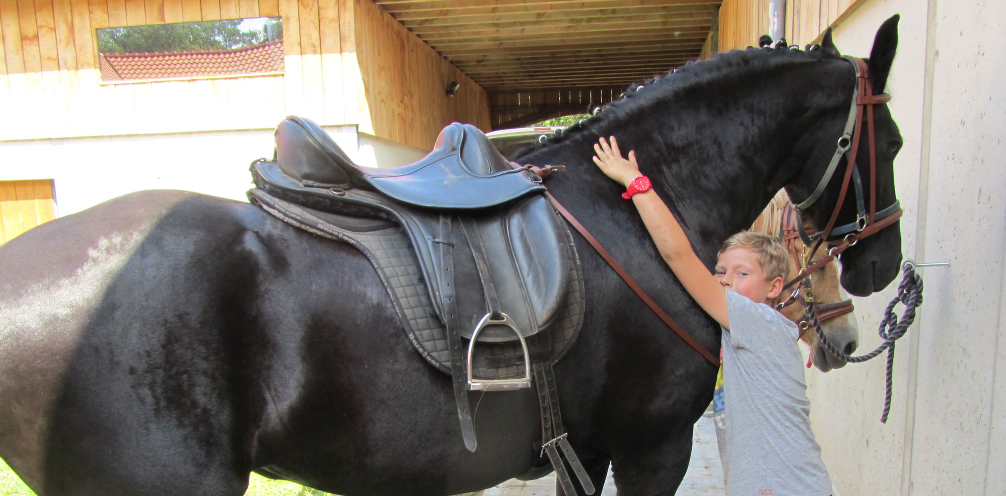 De Paardenboerderij - Kinderkamp krokusvakantie