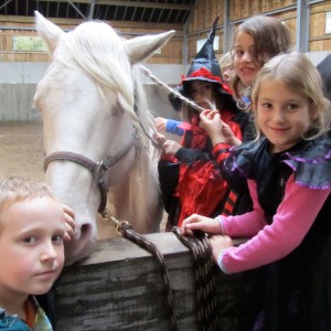 De Paardenboerderij - Kinderkamp krokusvakantie