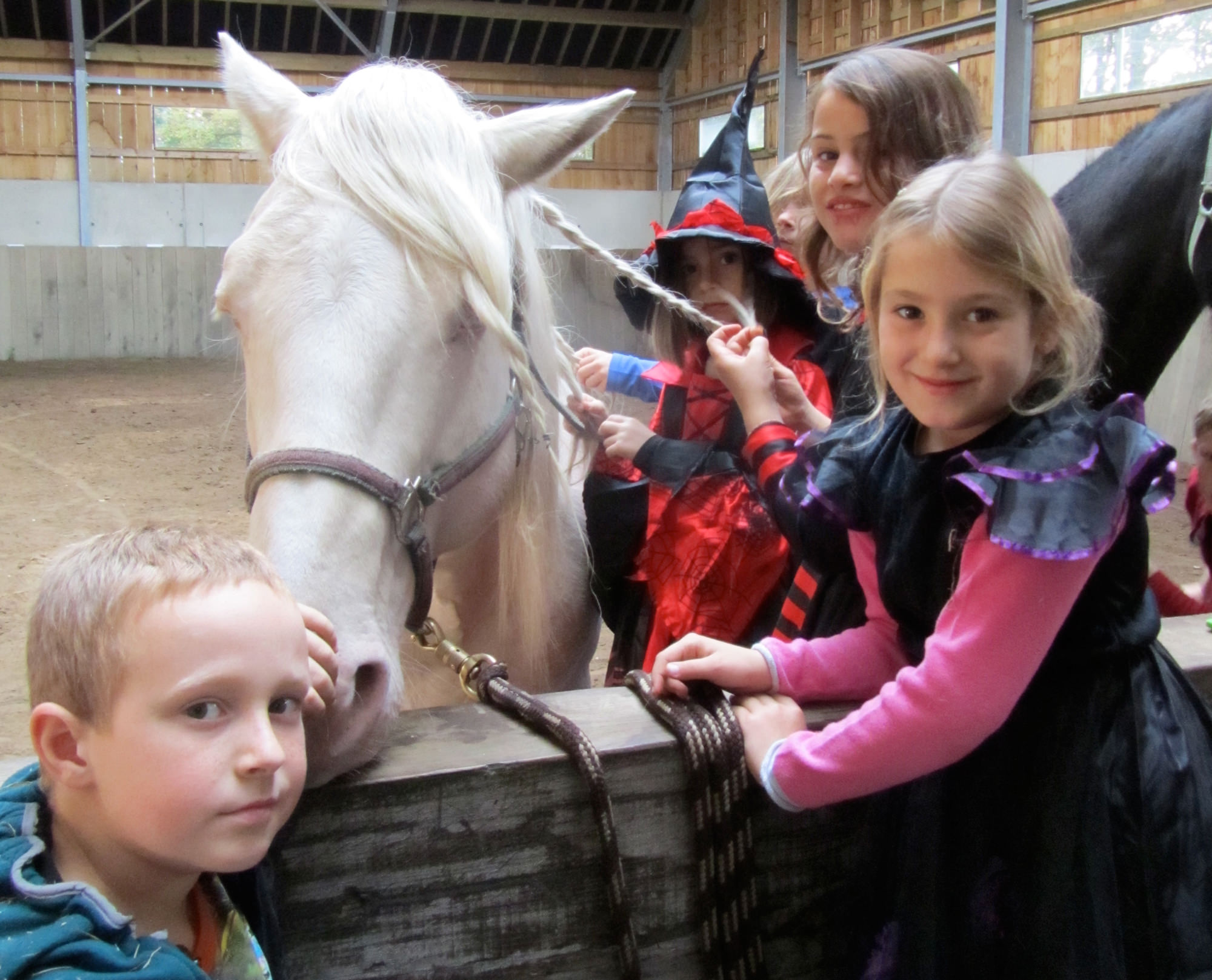 De Paardenboerderij - Kinderkamp krokusvakantie