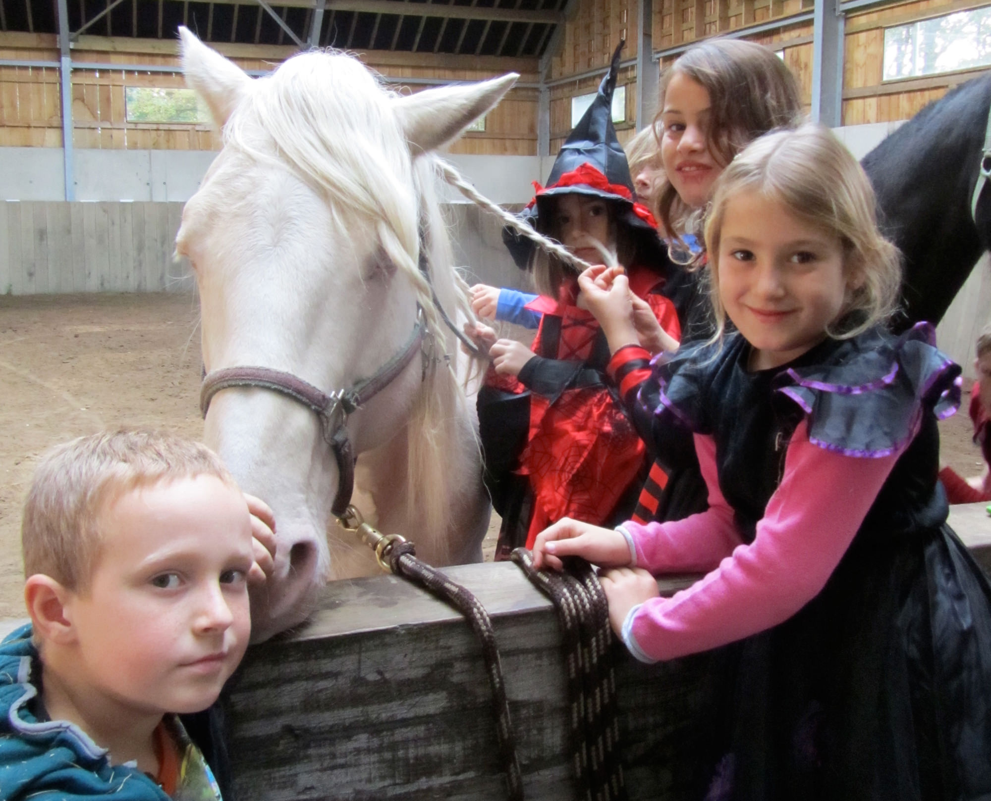 De Paardenboerderij - Kinderkamp krokusvakantie