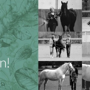 Hedendaagse Heldinnen - Header Facebook